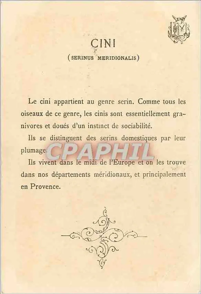 Cini — (Serinus meridionalis) — por F. Fauvry, série - Verso
