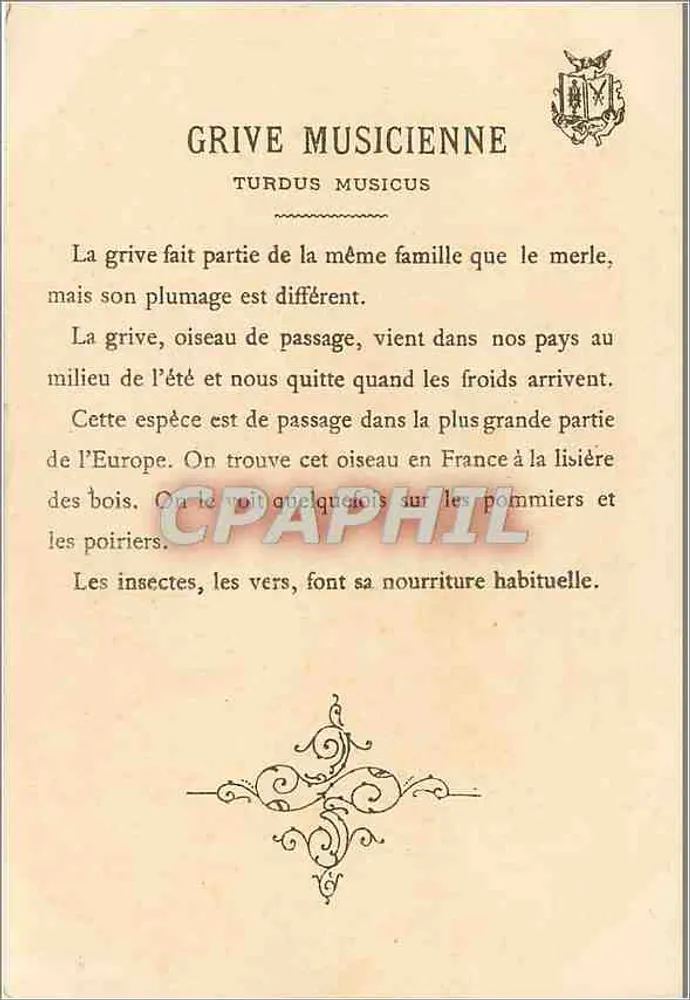 Grive musicienne — (Turdus musicus) — Gravura assinada 'F. Founty Lescaille' - Verso