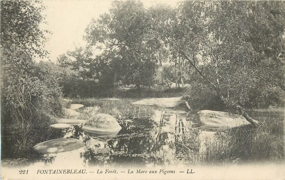 Fontainebleau — La Forêt — La Mare aux Pigeons — LL. — N° 221 - Recto