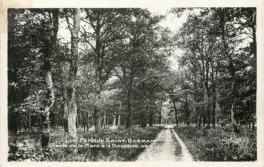 Foresta di Saint-Germain — Strada della Mare alla Douzaine — n°137 - Recto