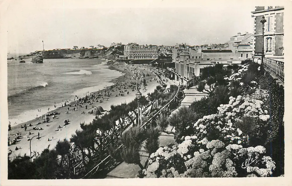 Biarritz — Grande Plage — Ed. Pyrénées-Océan - 1312 - Frente