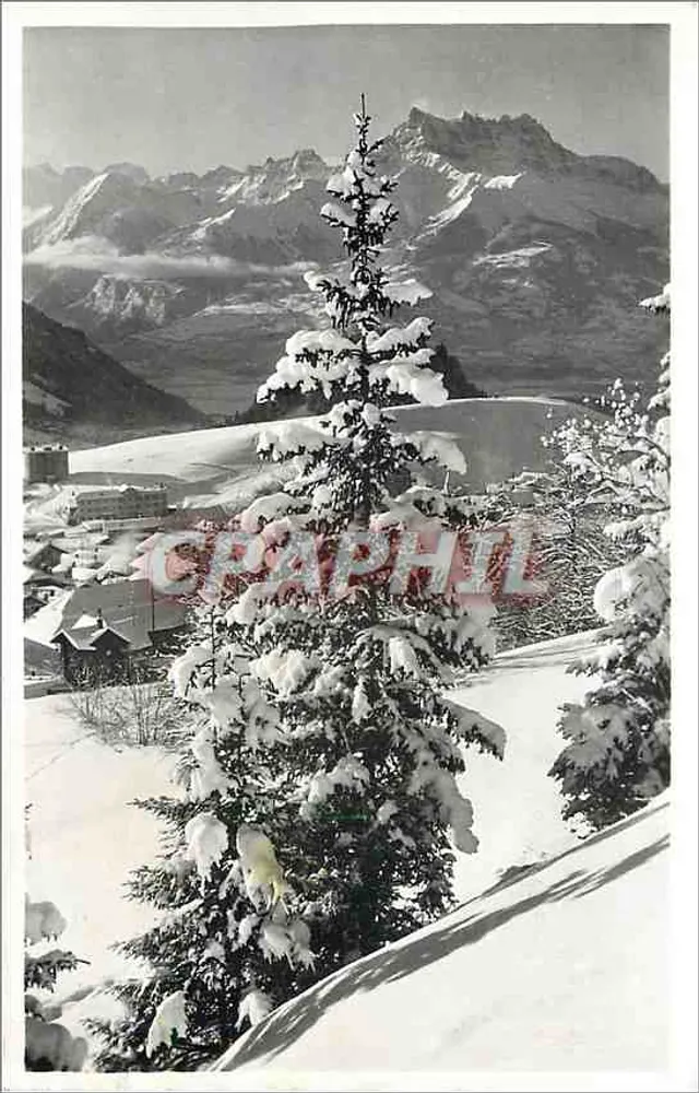Leysin. A Dente do Meio — Photo-Nicca, n°172 - Frente