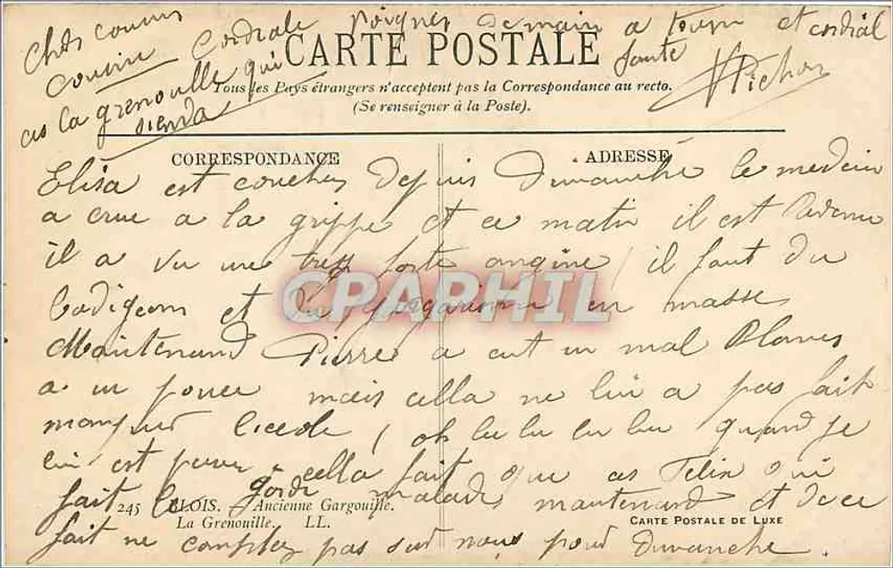 Statue de grenouille — détail sculptural — Carte postale de luxe - Verso