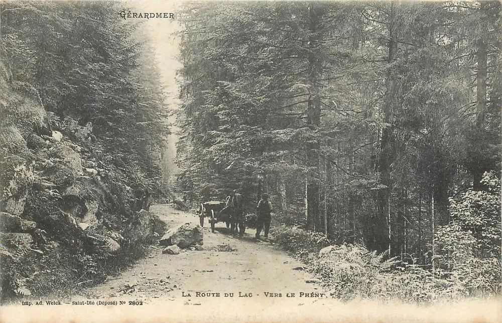 Gérardmer — Strada verso il lago — Verso Phény — Imp. Ad. Weltek, Saint-Dié (Deposé) N. 2602 - Recto