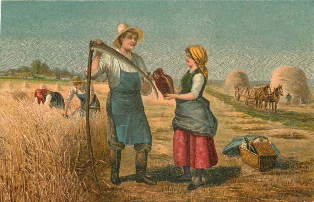 Colheita de trigo — Cena de campo — E. M. K. 2619 - Frente