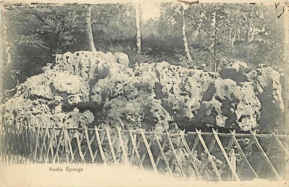 Floresta de Fontainebleau — Roche Éponge — Silvan Zait & Fontainebleau - Frente