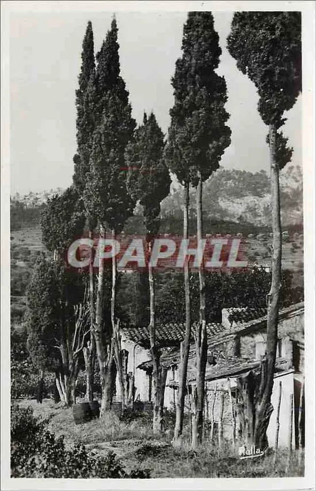 Ciprestes e casa — Mallia — editor Rella, n°200 - Frente