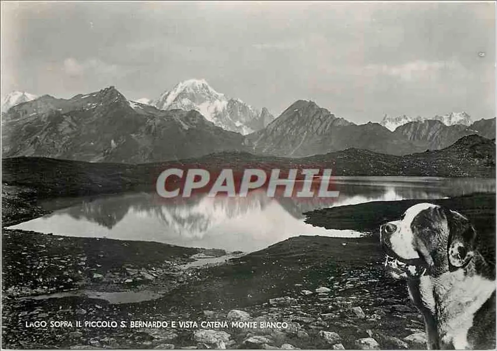 Lago sopra il Piccolo S. Bernardo e vista catena Monte Bianco — Ed. S.A.C.A.T. n° 1563 bis - Vorderseite