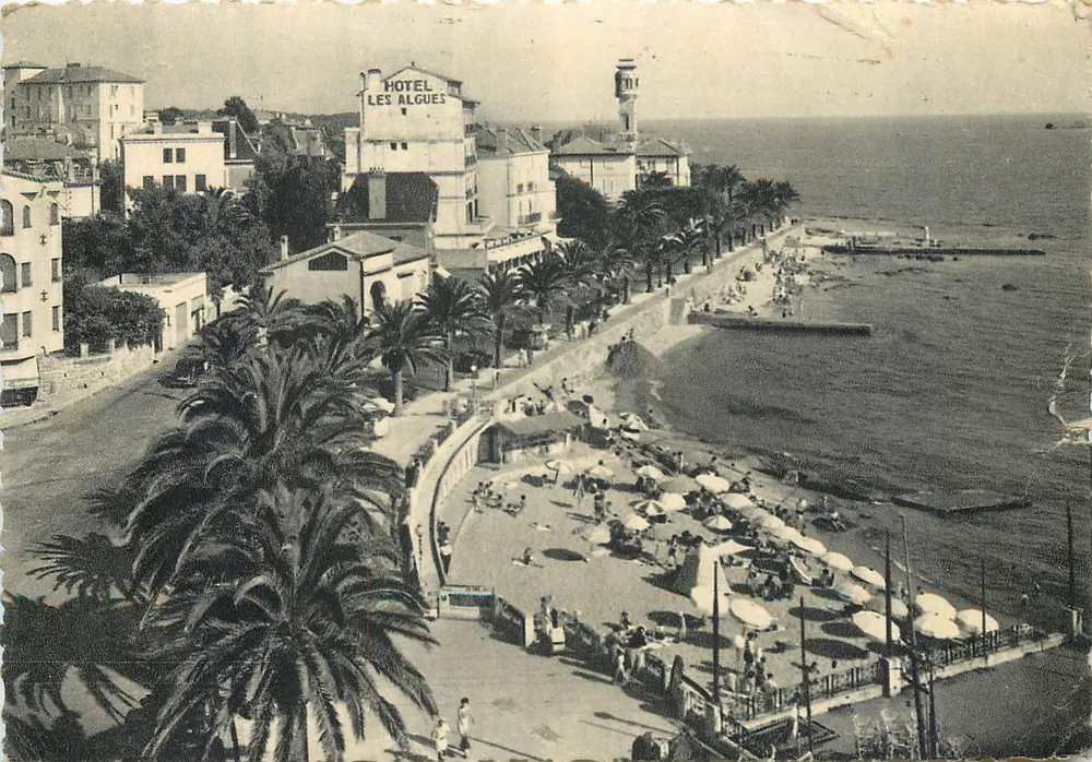 Hotel Les Algues — praia e palmeiras — Saint-Raphaël - Frente