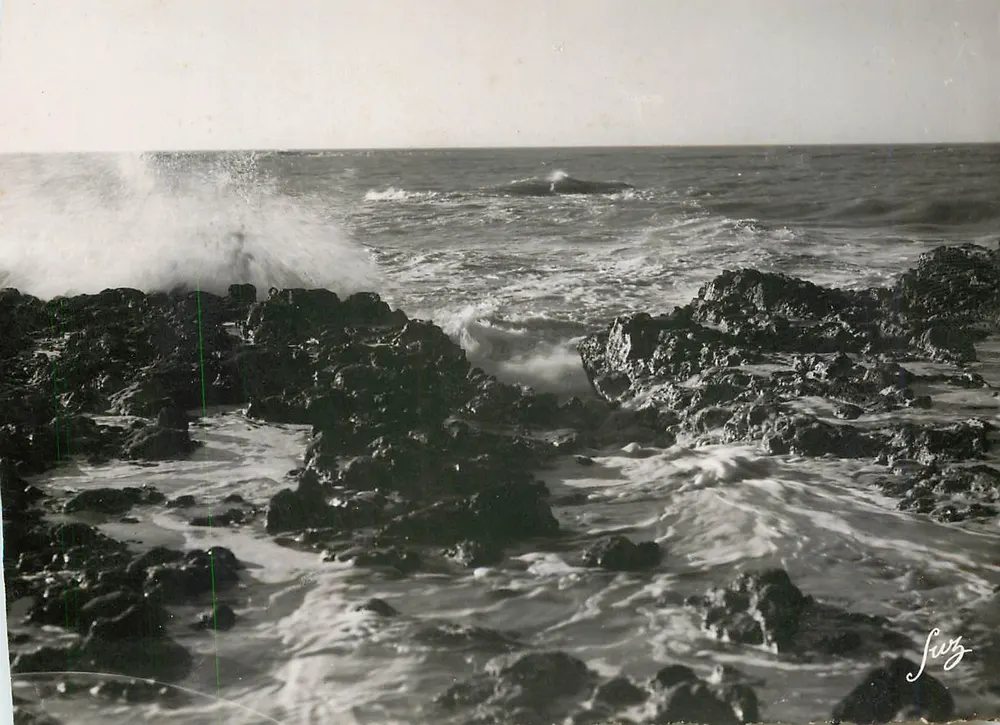 Ile d'Oleron (Charente-Maritime) — Chaucre - Die Felsen bei Ebbe — Editions d'Art R. Pommel - Vorderseite