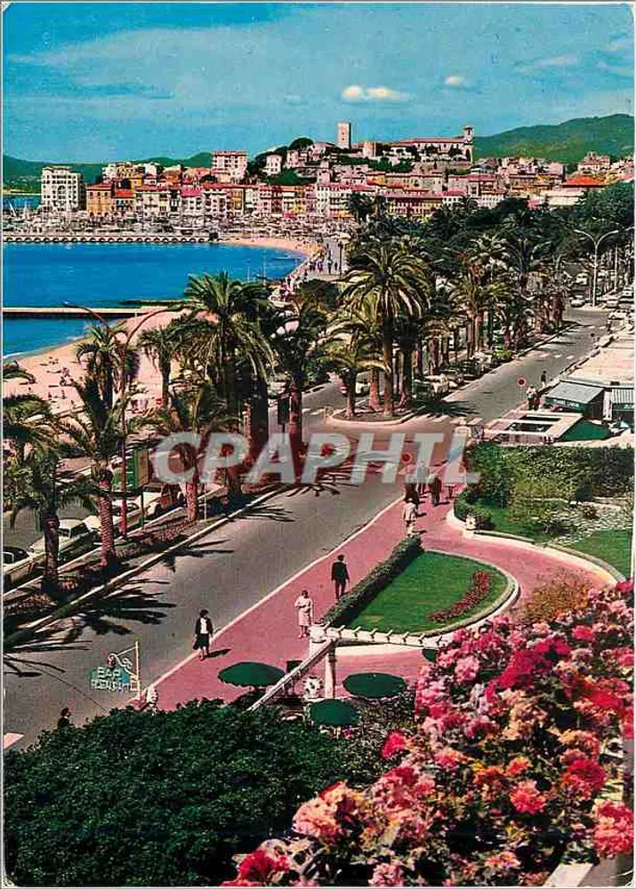 Cannes - La Promenade de la Croisette — Les Editions Gilletta, n°229 - Recto