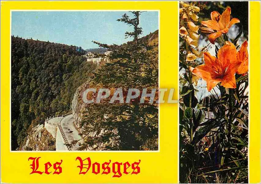 Die Vosges — Schlucht-Pass (Höhe 1139 m) und Straße nach Munster — Éditions "Le Châgne" - Vorderseite