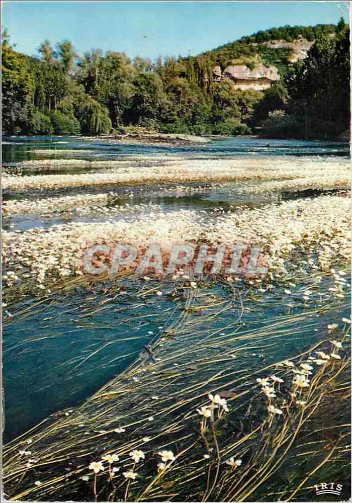 Primavera sulla Vézère — Perigord pittoresco — Edizioni Méxichrome n°24/271 - Recto