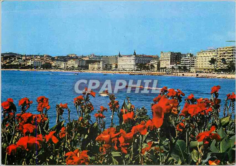 Cannes — Ogólny widok na Croisette — Wydawnictwo Art Montulet - Awers
