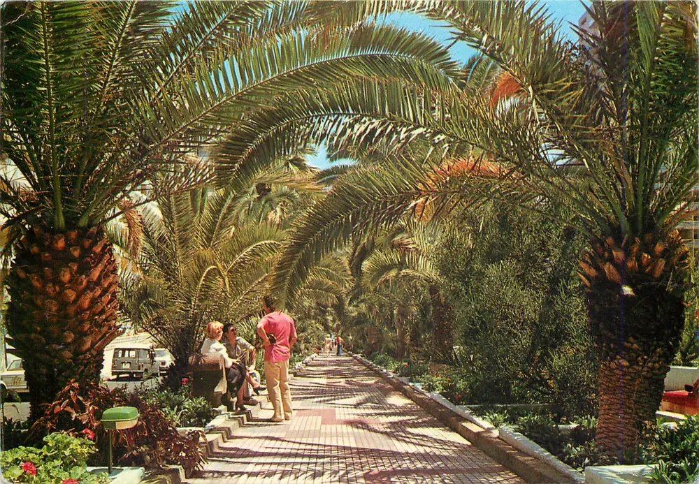 Puerto de la Cruz — Paseo de las Palmeras — Editionen Anbarro, Nr. 67 - Vorderseite