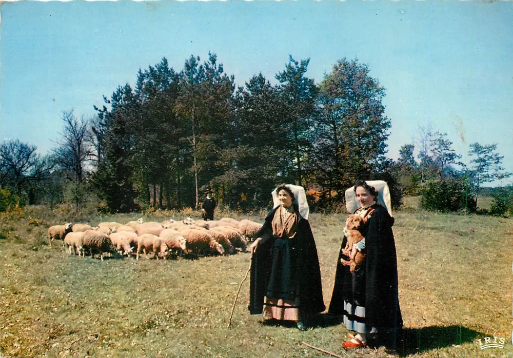 Duas bergères em traje tradicional — Limousin — Edições Teatro & Limoges, n° 87/123 - Frente