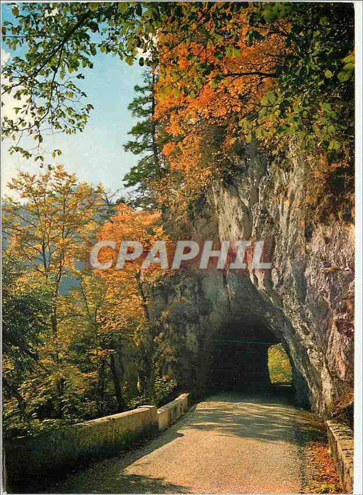Desert Road — Touristische Alpen IN CHARTREUSE — Natur-Editionen - Vorderseite