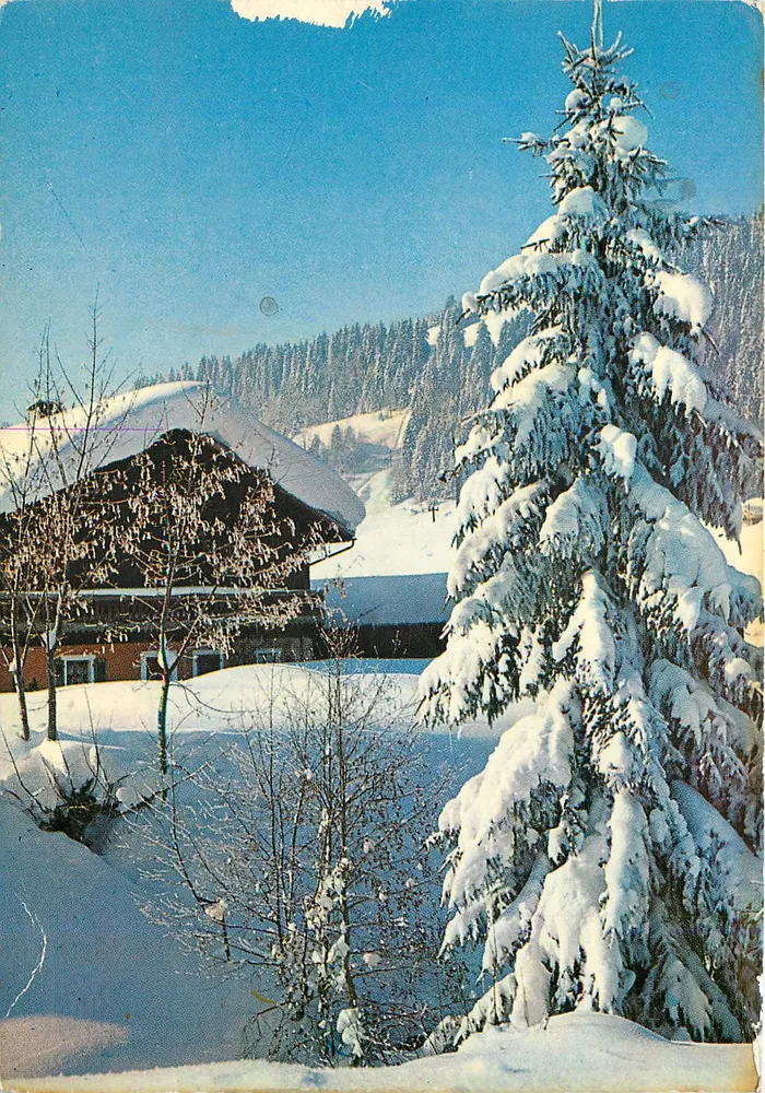 Chalet unter Schnee — Der Winter in den Alpen — Edition JANSOL - Vorderseite