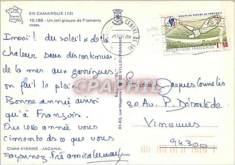 Rosaflamingos — Camargue (13) — Vienne-Jacana Editions - Rückseite