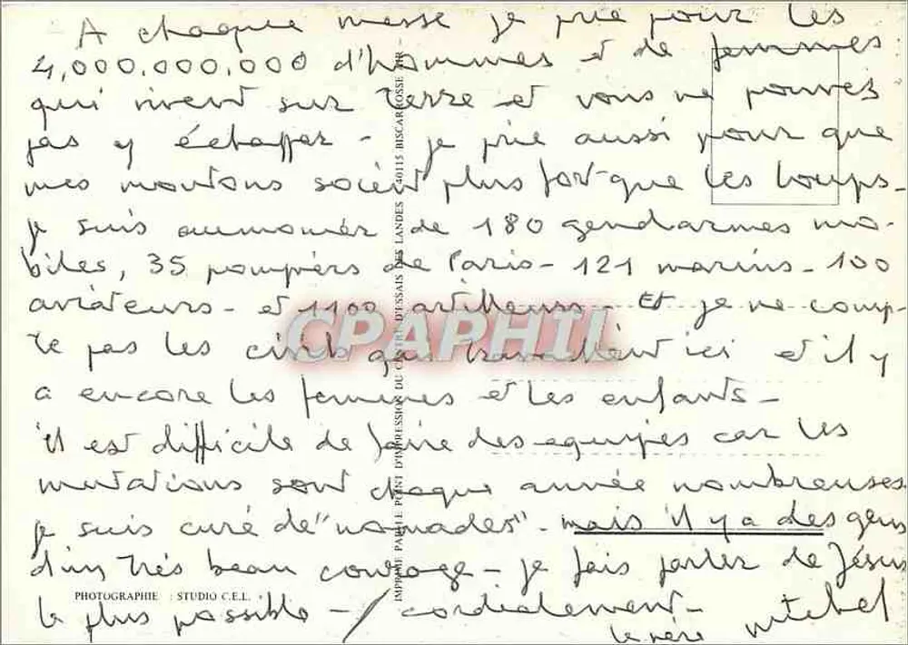 Ovelhas em pastagem — Editor: Studio C.E.L. — Número de série: 10115 - Verso