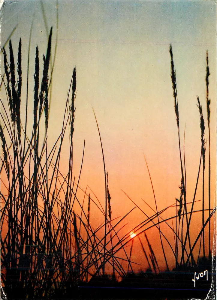 Sonnenuntergang — Lac Maïre, Landes — Éditions Jean-Laurès - Vorderseite