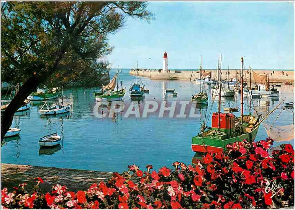 Ile d'Oléron - Der Hafen und der Leuchtturm — Verlag Olée, Nr. 732 - Vorderseite