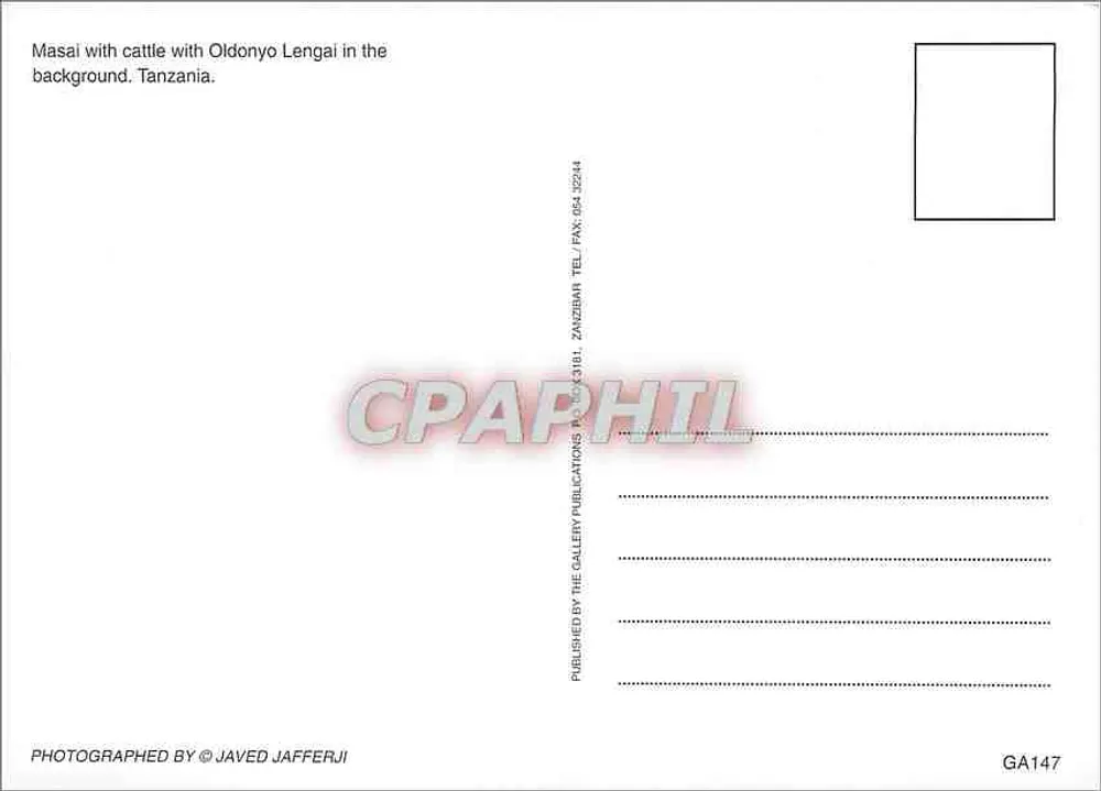 Masai mit Rindern — Berg Oldonyo Lengai im Hintergrund — Gallery Publications, Nr. GA147 - Rückseite
