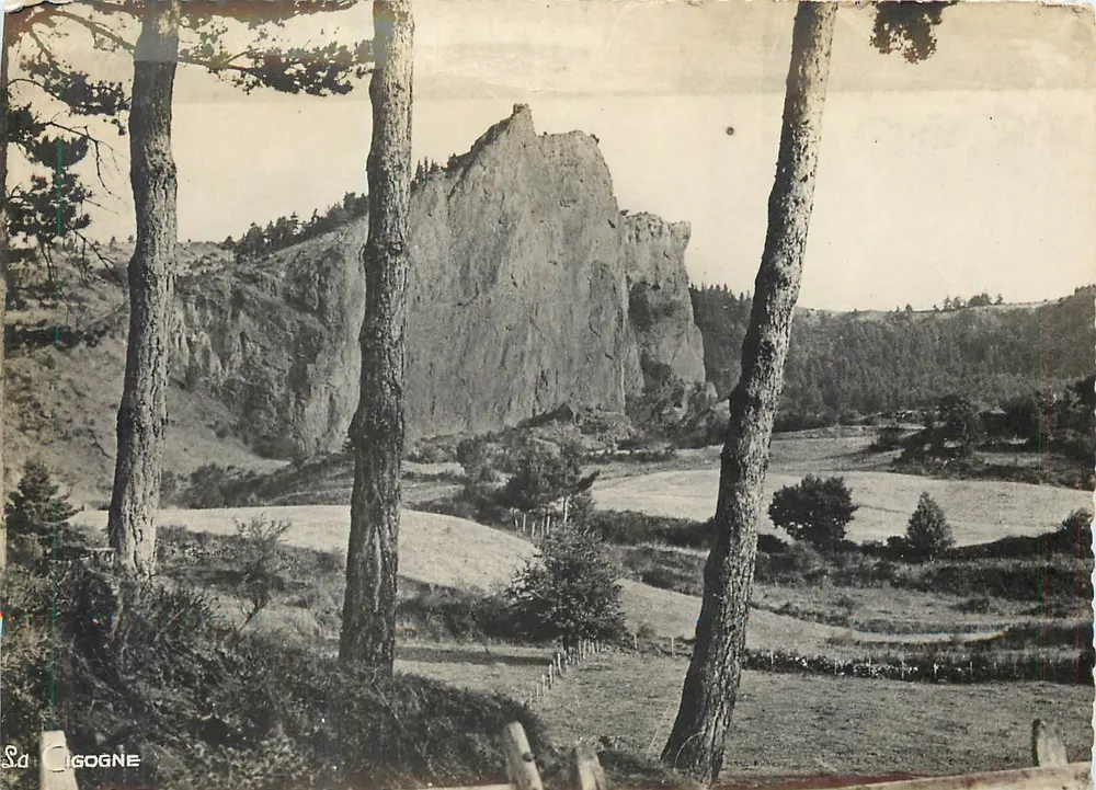 A Dente de Mârals — Environs du Lac Chambon — Saône Cigogne - Frente