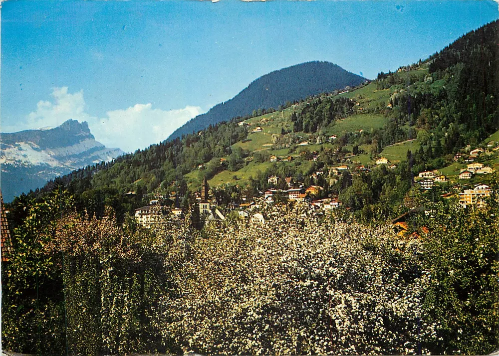 St-Gervais - Vue générale et les Aiguilles de Varens — Éditions JANSOL, 1215 - Recto