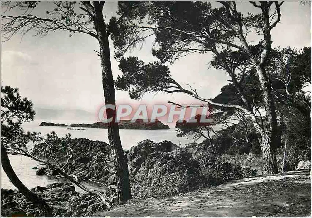 Die Goldene Promenade — Blick auf den Löwen von Terre vom Park Santa-Lucia — Éditions Sganzerla, Nîmes - Vorderseite