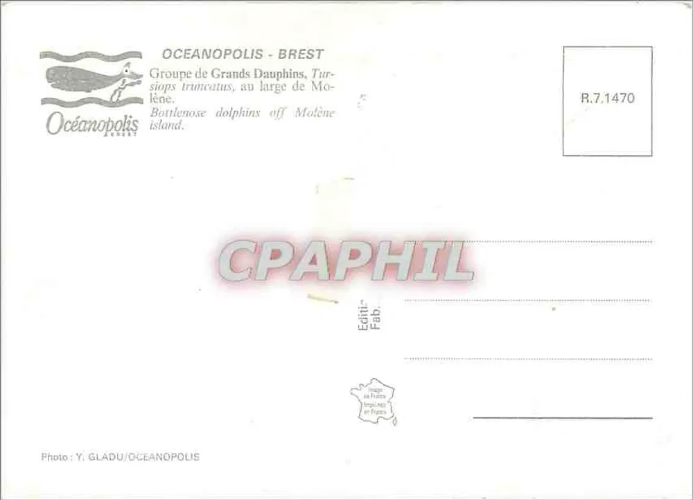 Botos — Grupo de Botos-grandes ao largo de Molène — Océanopolis Brest - Verso