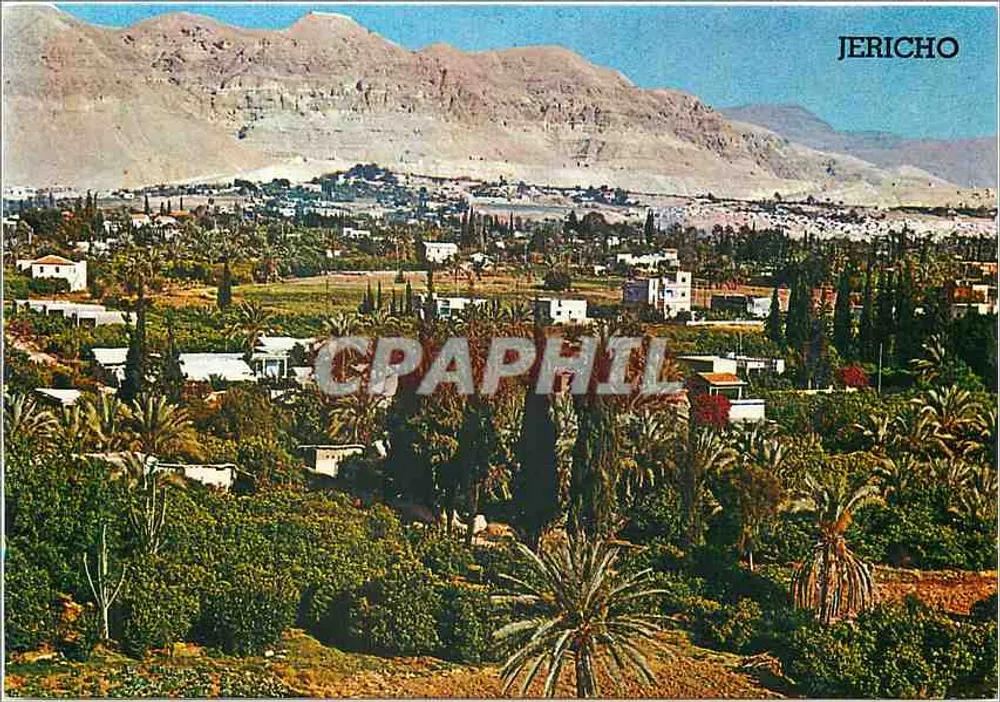 Jericho — Stadt der Palmen, im Jordan-Tal — Palphot Ltd - Vorderseite