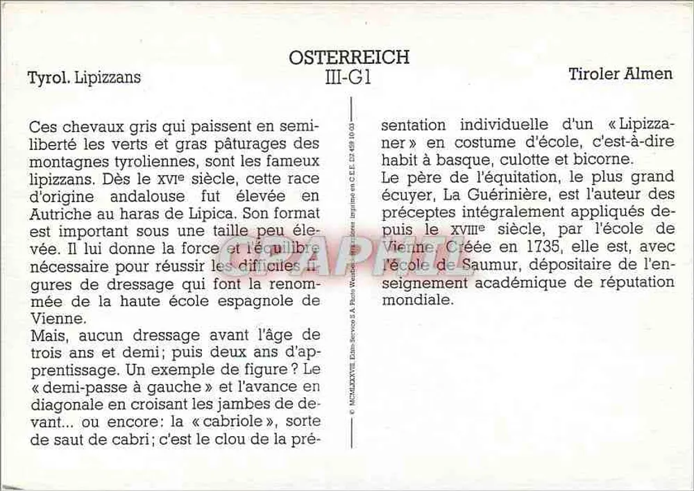 Cavalos Lipizzans — Tirol — OSTERREICH III-G1 - Verso