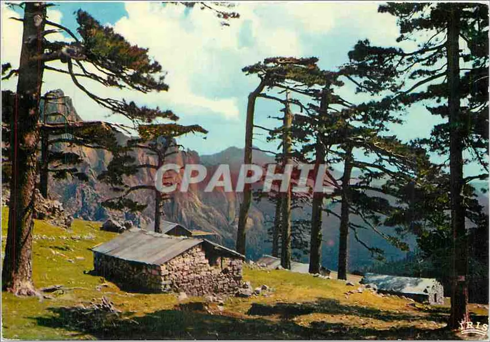 Col de Bavella — Casas de pasto e abrigos — Éditions Diplôme - Frente