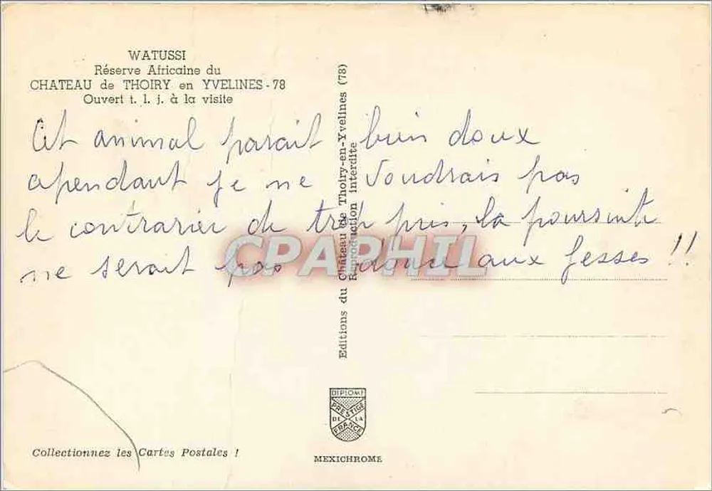 Watussi-Rinder — Afrikanische Reserve des Schlosses Thoiry (Yvelines-78) — Éditions Diplomate - Rückseite