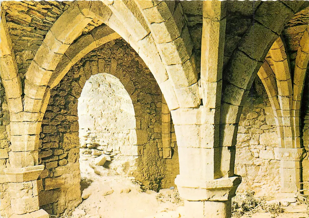 O castelo de Precy-sur-Oise — ruínas do antigo castelo — Éditions Naturelles - Frente