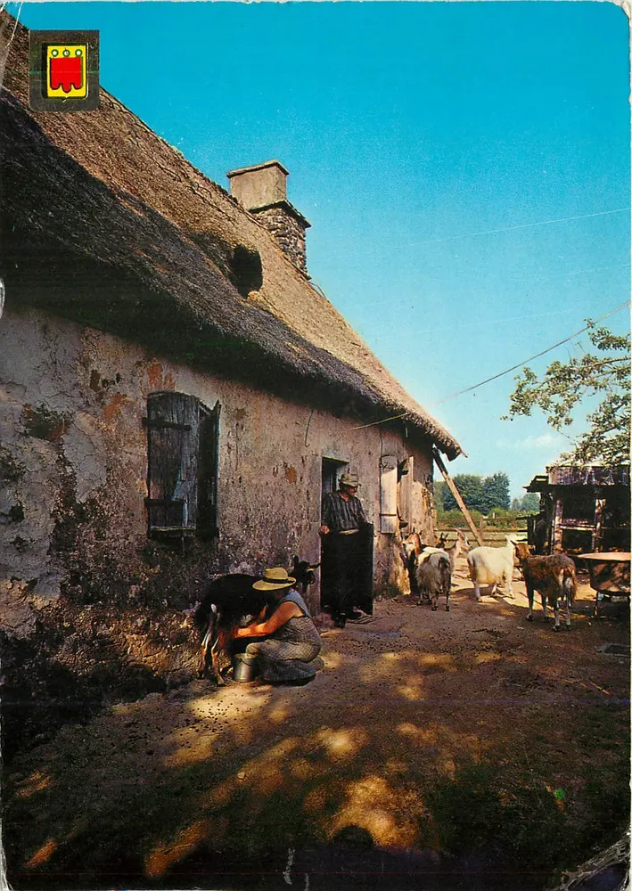 Casa com telhado de palha — agricultor e ovelhas — Edições Pique, série 1719 - Frente