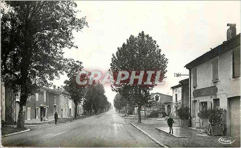 Saulce-sur-Rhône — Hauptstraße mit Bäumen und Gebäuden — Graphphil - Vorderseite