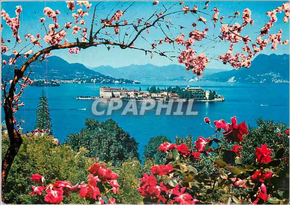 लागो मैग्गिओरे - इसोला बेल्ला — एक फूलों वाले बगीचे से देखा गया — "कलरप्रिंट" ए. प्रेटो, मिलानो, नंबर 43 - आगे