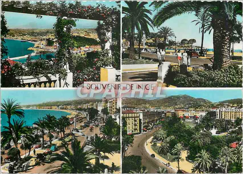 Nice — vista panorâmica e palmeiras — Lembrança de Nice, edição L. Gilletta & Cie, n°180 - Frente
