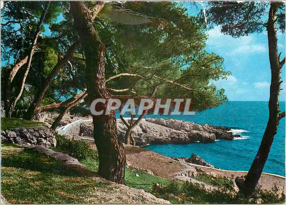 Côte d'Azur — Margem do mar e pinhal — Edição S.E.P.T. Boulle, Corbella - Frente