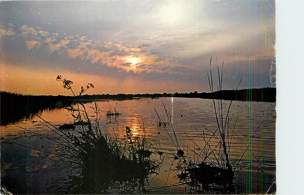 Regionaler Naturpark Brière — Die Curée von Saint-Lyphard bei Sonnenuntergang — Editions du Gabier - Vorderseite
