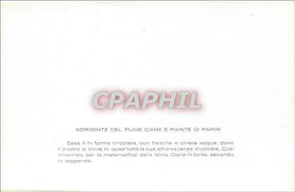 Siracusa - Quelle des Flusses Ciane und Papyrus-Pflanzen - Rückseite