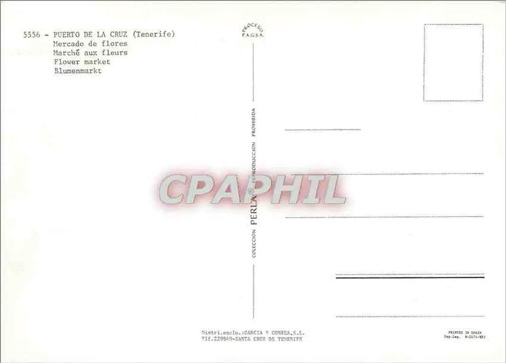 Marché aux fleurs — Puerto de la Cruz (Tenerife) — Distr. exclu. DARCIA Y CORREA, S.L. - Verso