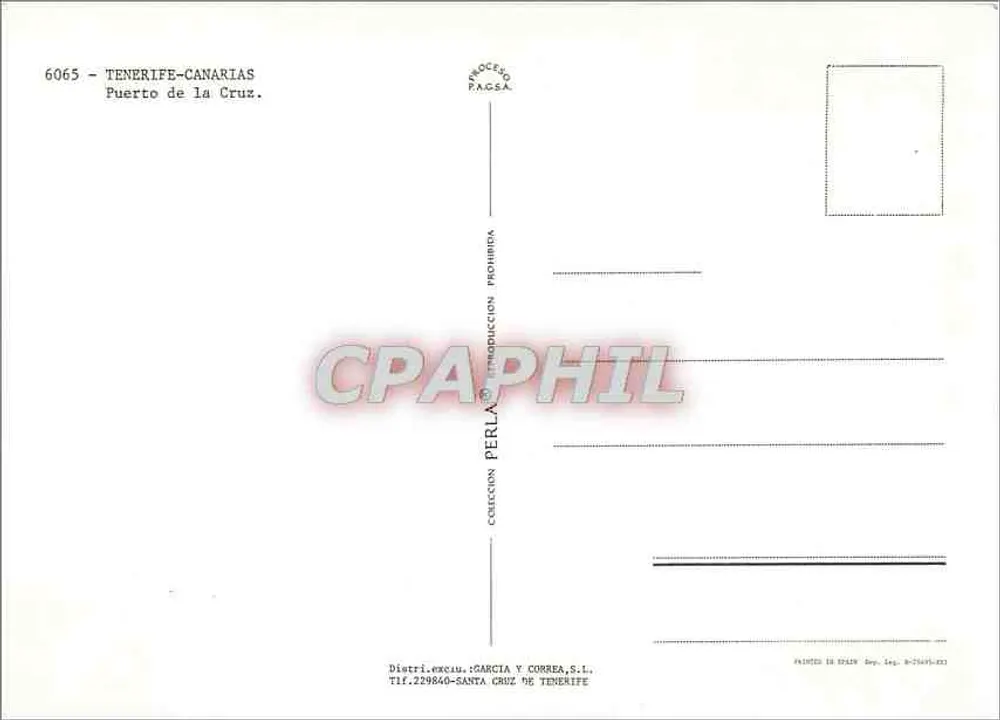 Puerto de la Cruz — Tenerife — éditeur Perla y Correa, S.L., n° 6065 - Verso