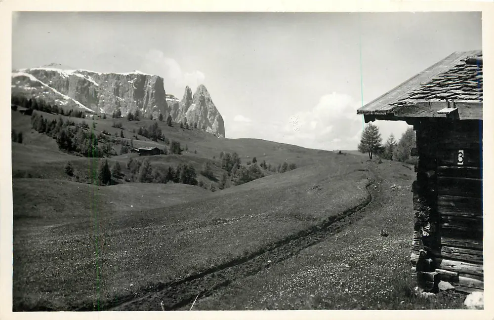 Ansicht der Dolomiten — Alpe di Siusi in Richtung Sciliar (2561 m) — Verlag AMONN, Nr. 37455 - Vorderseite