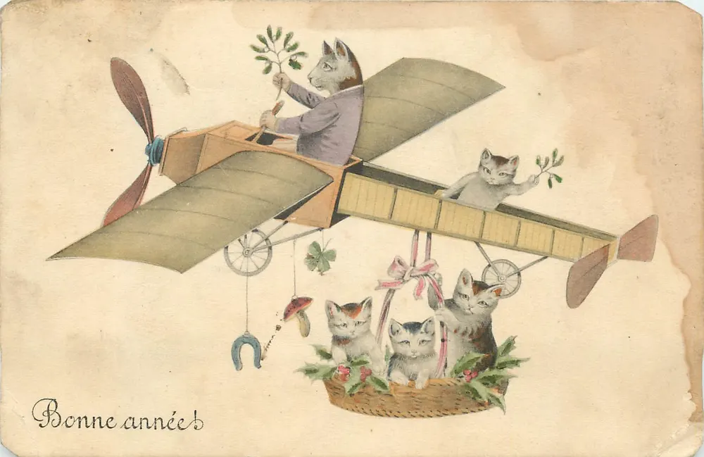 Cats in an airplane — greeting card — H. H. i. W. Nr. 818 - Front