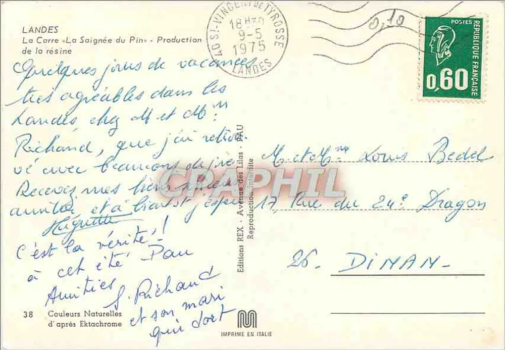La Carre « La Saignée du Pin » — Harzgewinnung — Éditions REX, n°38 - Rückseite