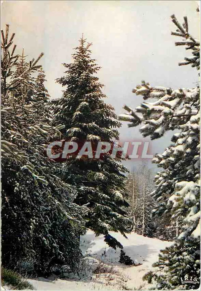 Os Vosges pittorescos — Primeiras neves — Edições Hachette (Bas-Rhin) - Frente