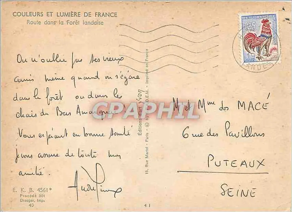 Landes-Wald — Straße durch den Wald — Éditions d'Art Yvon - Rückseite